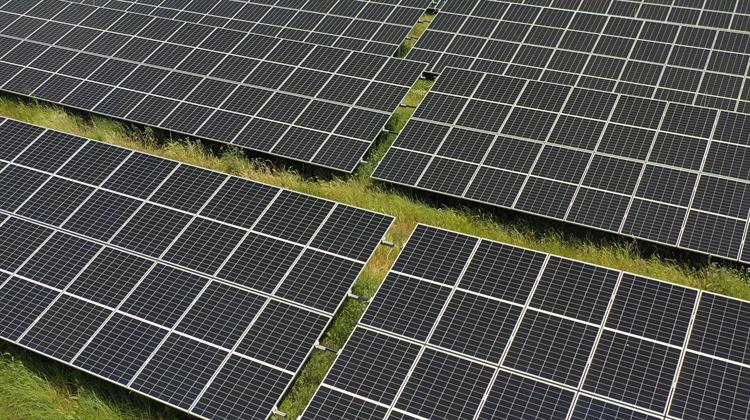 Βαμβακιές, το 59ο Έργο Ανανεώσιμης Ενέργειας στην Ελλάδα για την Enel Green Power (Video)